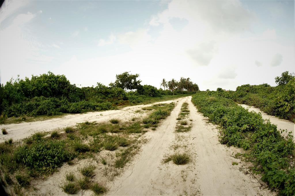 Annama Lodge And Dive Hoarafushi Exterior foto