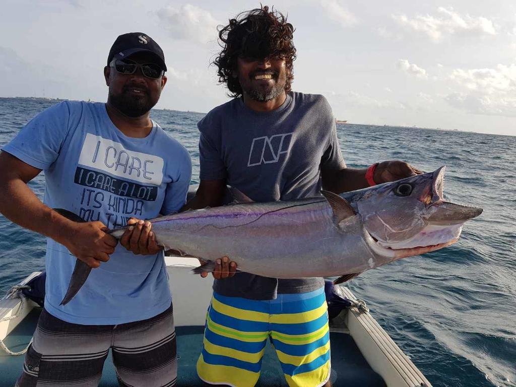 Annama Lodge And Dive Hoarafushi Exterior foto
